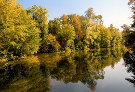 Phoca Thumb M Herbst Im Rheinwald 8482 2017